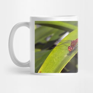 Red Dragonfly Mug